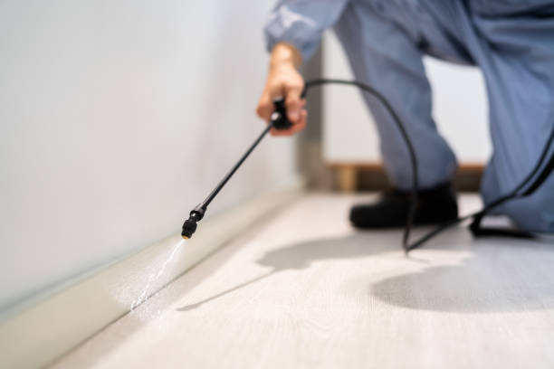 Licensed Fumigation Services service in Lordstown, OH - Nex Pest Control
