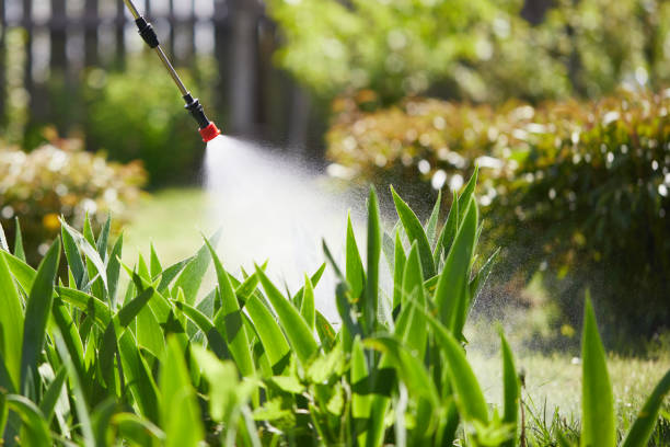24/7 Emergency Fumigation Services experts in Lordstown, OH