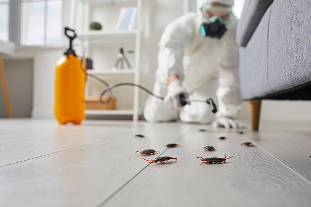 Trusted Termite Control service in Lordstown, OH - Nex Pest Control